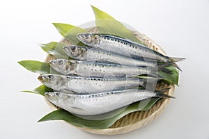 Whole picture of fresh sardines