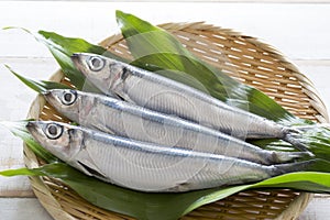 Whole picture of fresh sardines