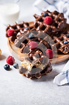 Whole and pieces chocolate waffles, glass of milk on a gray background