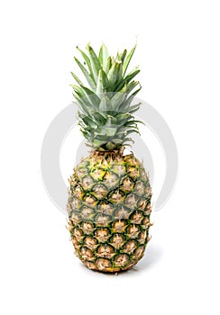 Whole Pineapple Isolated, Whole Ananas, Comosus Tropical Fruit, Ripe Pine Apple on White