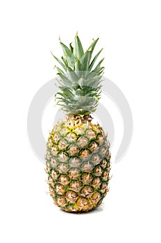 Whole Pineapple Isolated, Whole Ananas, Comosus Tropical Fruit, Ripe Pine Apple on White photo