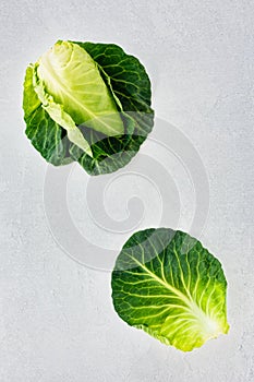 Whole Pointed Cabbage and Leaf on Gray Background