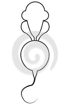whole radish icon