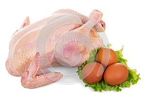 Whole raw chicken meat, lettuce and eggs isolated on white.