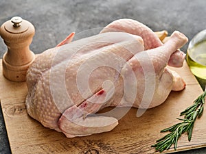 Whole raw chicken on a wooden board on a gray background. Raw chicken with spices