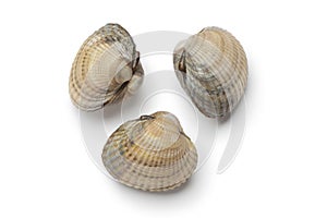 Whole raw fresh cockles