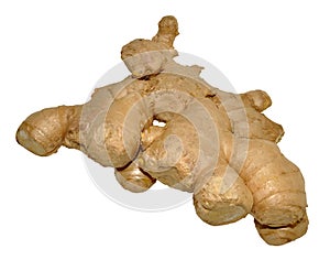 Whole Raw Ginger Root