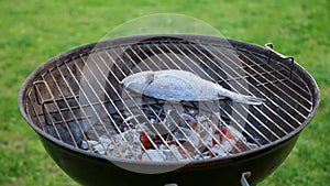 Whole raw grilled sea fish dorado cooked on hot coals on barbeque