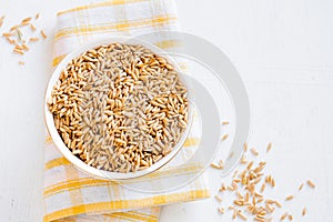 Whole raw oats seeds