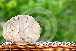 Whole raw organic cauliflower on a wooden wicker table