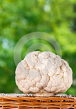 Whole raw organic cauliflower on a wooden wicker table