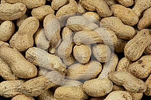 Whole Raw Peanuts in Shell Close-Up