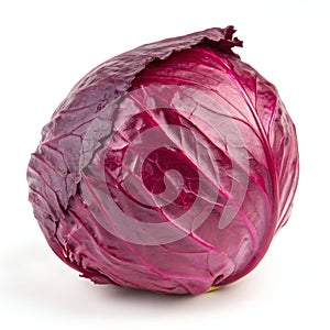Whole Red Cabbage Isolated on White Background