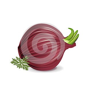 Whole red onion with parsley