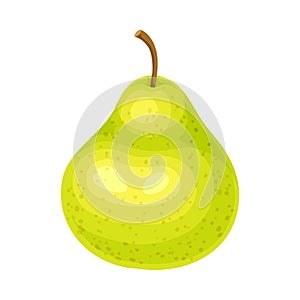 Whole Ripe Green Pear Pomaceous Fruit as Organic Garden Crop Vector Illustration