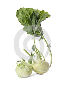 Whole ripe kohlrabies with leaves on white background