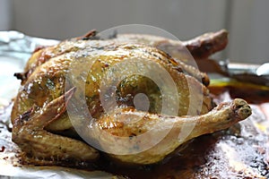 Whole roast chicken