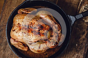 Whole roast chicken photo