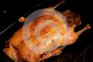 Whole roast honey duck meat served on black oven tray. Top view. Christmas or Thanksgiving concept