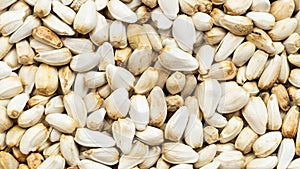 Whole safflower seeds close up