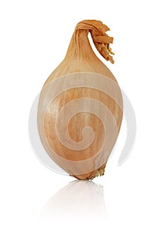 Whole shallot