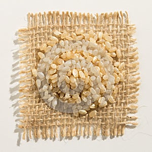 Whole Short Grain Rice Seed. Close up of grains over burlap. photo