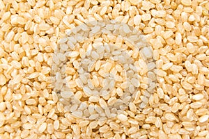 Whole Short Grain Rice Seed. Closeup of grains, background use. photo