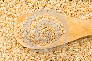 Whole Short Grain Rice Seed. Grains in wooden spoon. Close up. photo