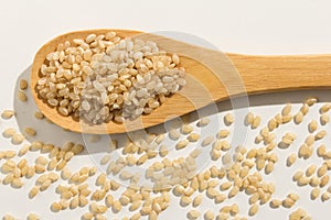 Whole Short Grain Rice Seed. Healthy grains on a wooden spoon. W photo