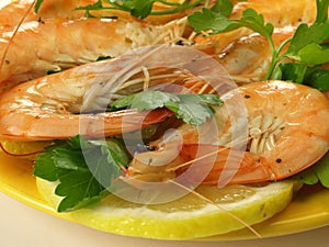Whole shrimps with parsley, closeup