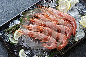 Whole shrimps photo