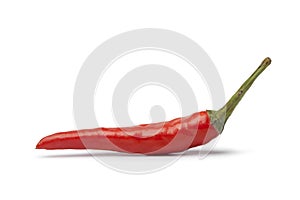 Whole single fresh tabasco pepper