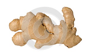 Whole single raw fresh ginger root isolated on white background