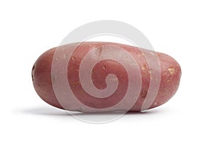 Whole single Roseval potato
