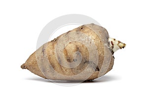 Whole single Turnip-rooted chervil