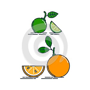 Whole and slice in half orange or tangerine and lime fruit isolated on white background. Organic product. Bright summer harvest