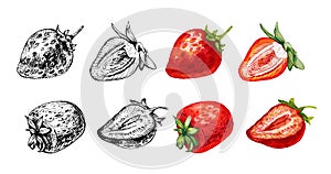 Whole and slice strawberry. Vector color flat illustration