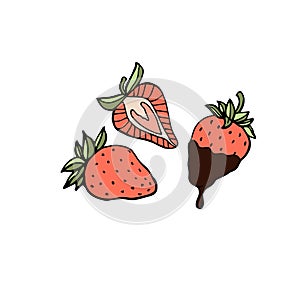 Whole and sliced strawberries hand drawn vector eco food illustration, set of isolated cartoon style fruits