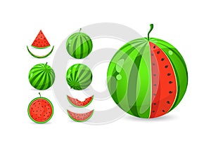 Whole and sliced watermelon set