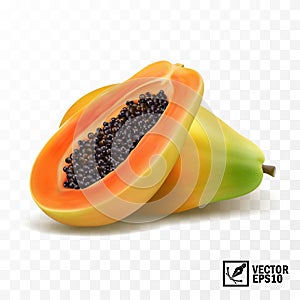 Whole and slices papaya fruit, 3D realistic isolated vector, editable handmade mesh