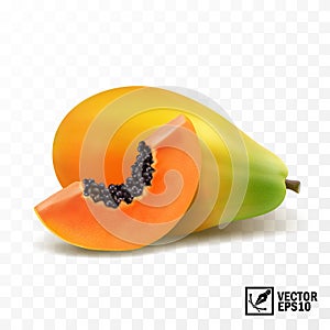 Whole and slices pieces papaya fruit, 3D realistic isolated vector