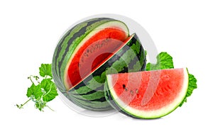 Whole and slices watermelon with green leaves isolated on white