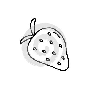 Whole strawberry fruit, sweet dessert berry, doodle style flat vector outline for coloring book