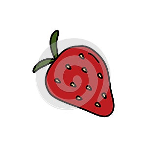 Whole strawberry fruit, sweet dessert fresh farm organic berry, vector