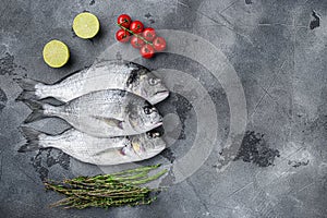 Whole three  seabream or Gilt head bream dorada fish with herbs pepper lime tomato for cooking and grill on grey textured