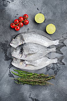 Whole three  seabream or Gilt head bream dorada fish with herbs pepper lime tomato for cooking and grill on grey textured