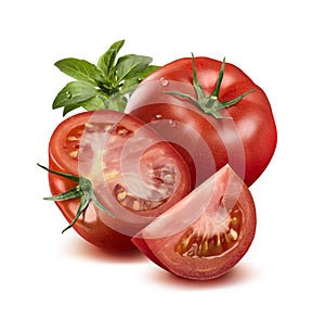 Whole tomato in water drops, half, quarter and basil isolated