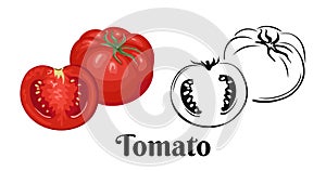 Whole tomatoes and halves. Color illustration of red vegetable and black and white icon.