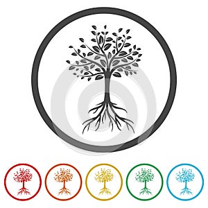 Whole tree with roots icon isolated white background. Set icons in color circle buttons