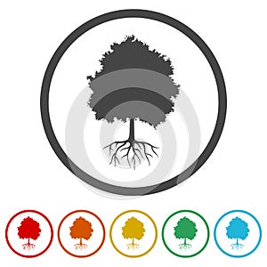 Whole tree with roots ring icon, color set